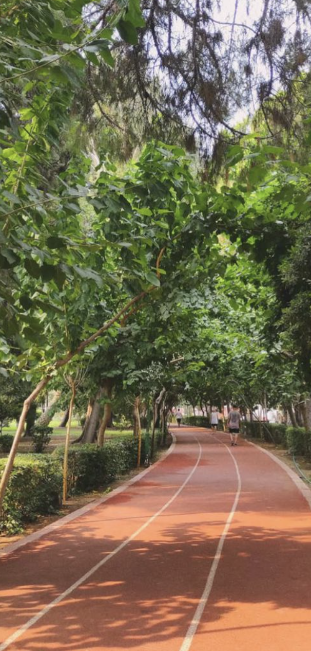 Jogging track